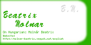 beatrix molnar business card