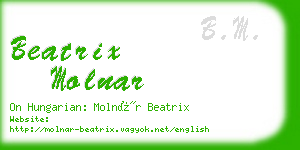 beatrix molnar business card